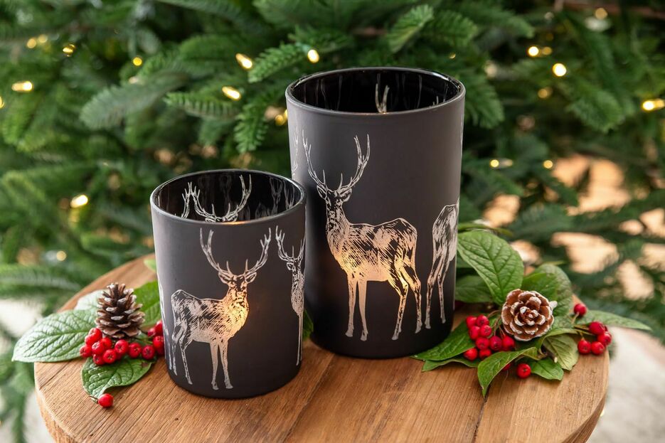 Edzard Photophore Edzard Photophore