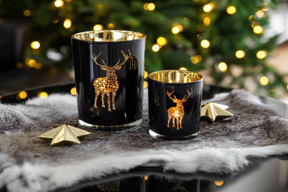 Edzard Photophore Edzard Photophore