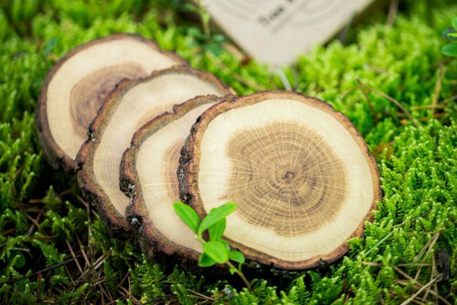 Sous verre en bois Sous verre en bois